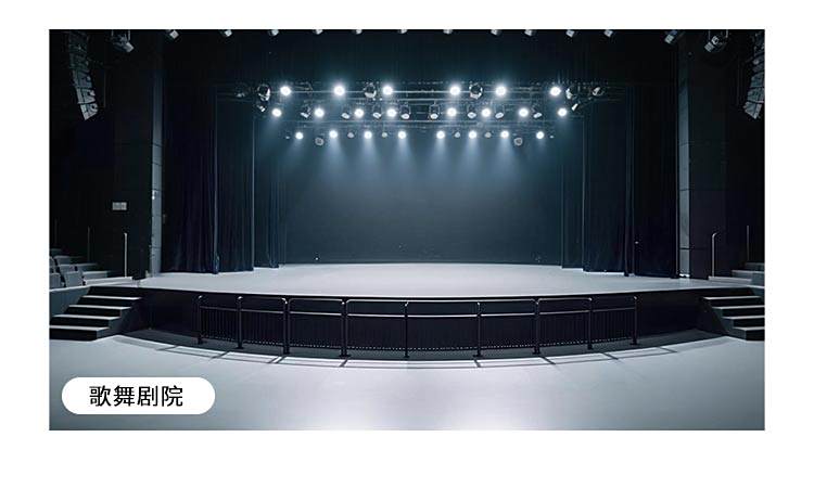 舞彩系列-舞蹈地板